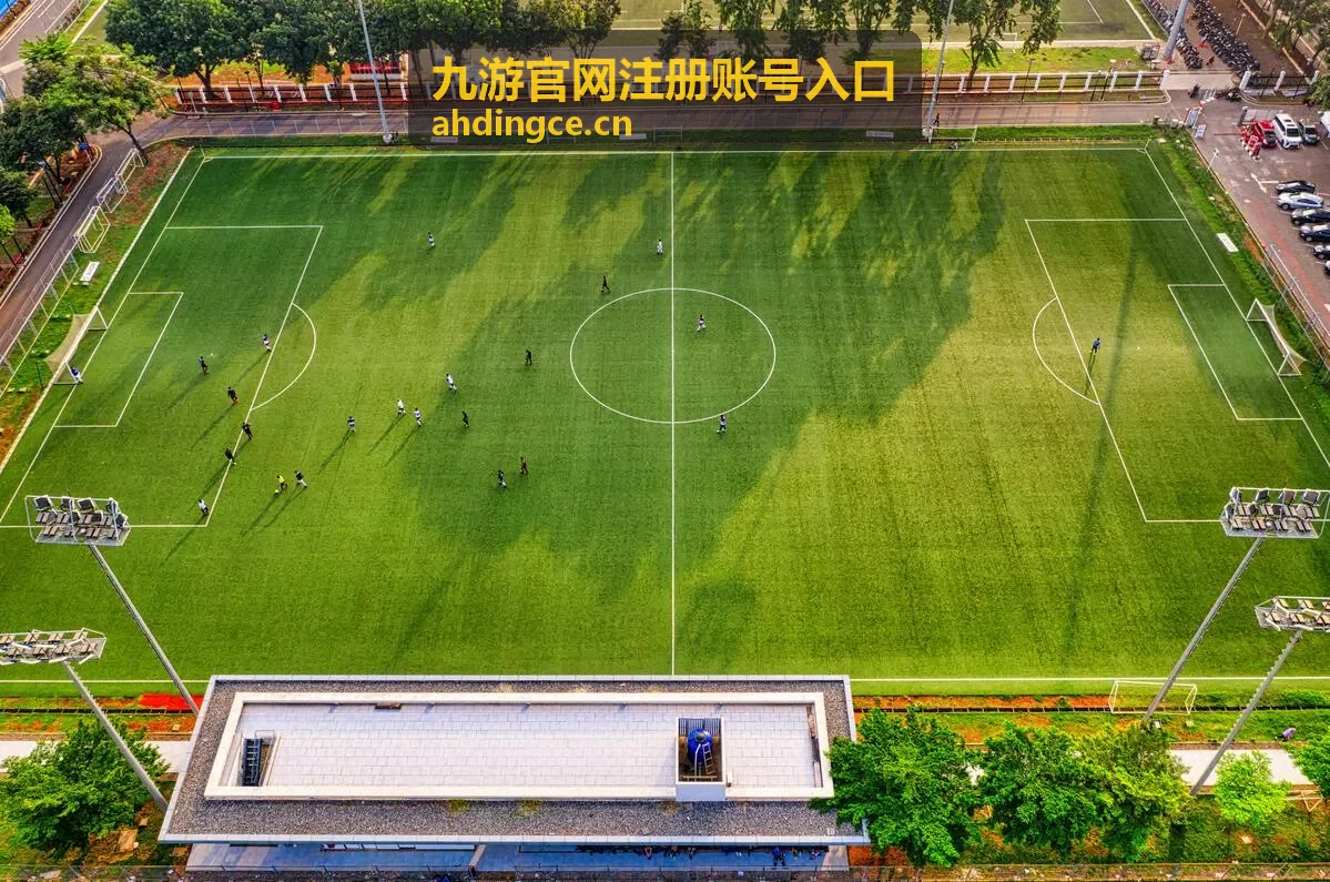 九游官网注册账号入口账号安全验证方式配图