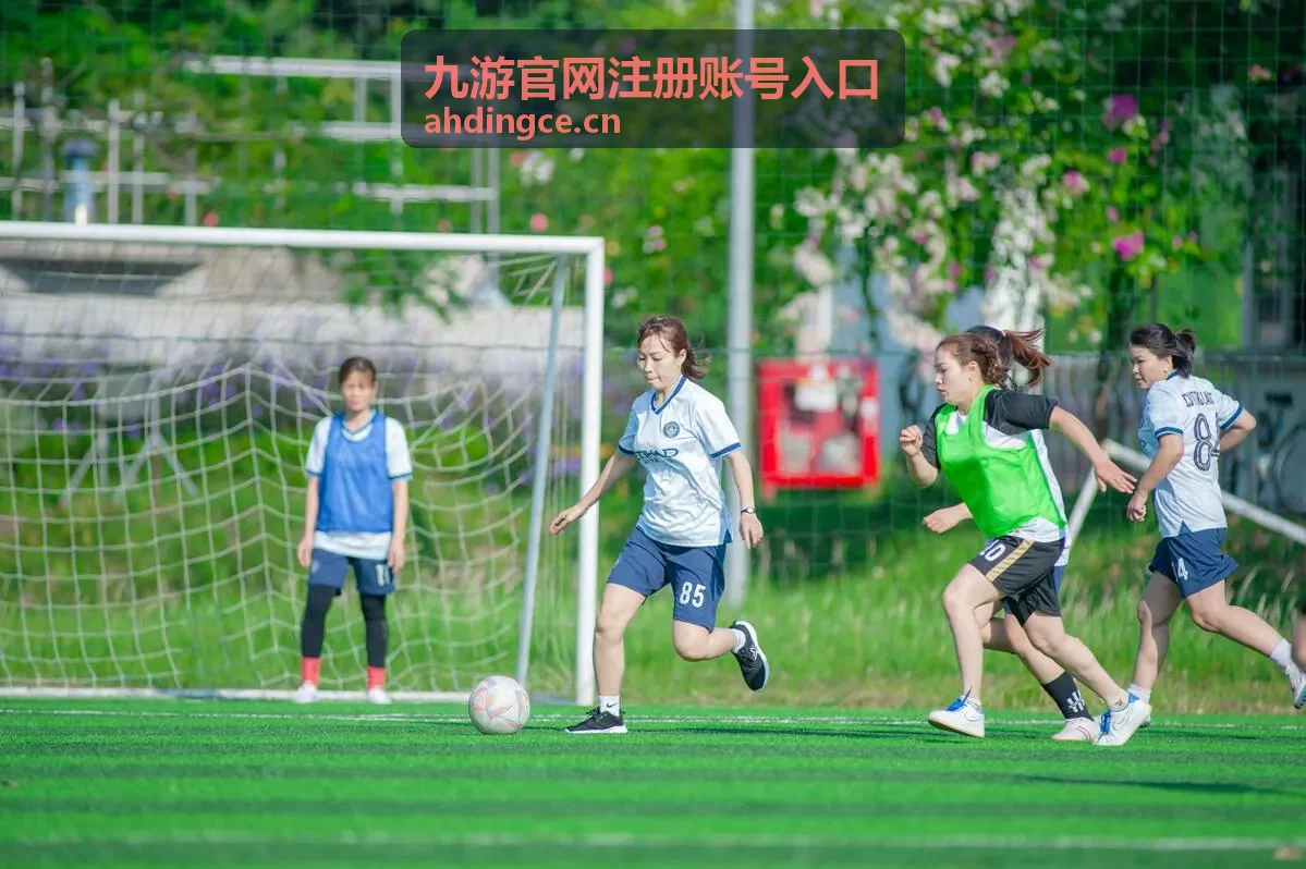 九游官网注册账号入口账号安全设置与找回流程示意图