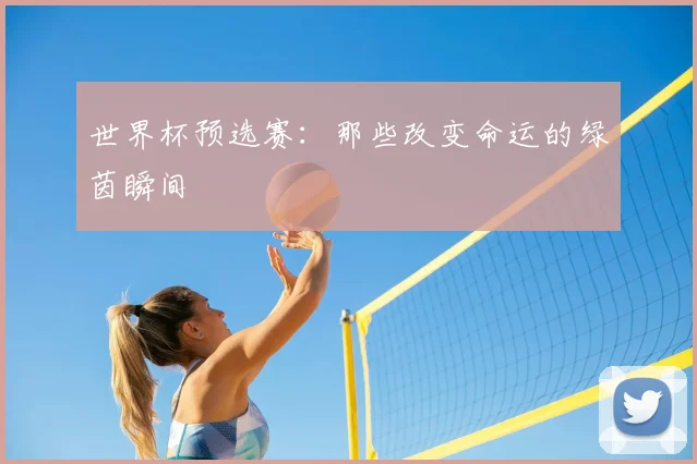 世界杯预选赛：那些改变命运的绿茵瞬间
