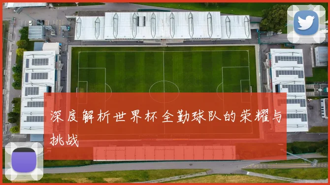 深度解析世界杯全勤球队的荣耀与挑战