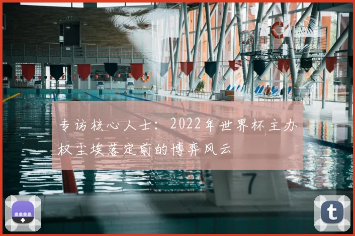 专访核心人士：2022年世界杯主办权尘埃落定前的博弈风云