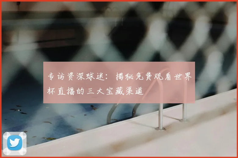 专访资深球迷：揭秘免费观看世界杯直播的三大宝藏渠道