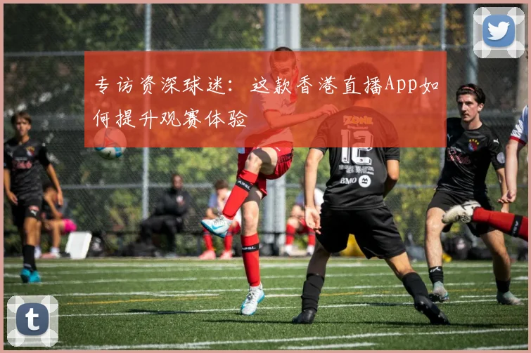 专访资深球迷：这款香港直播App如何提升观赛体验