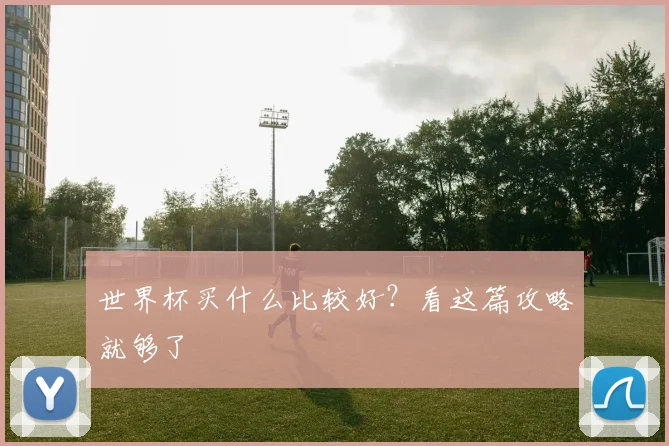 世界杯买什么比较好？看这篇攻略就够了